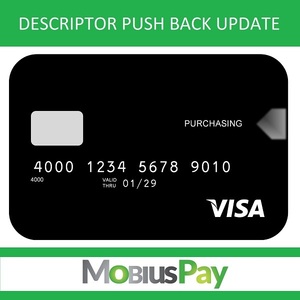 Visa Descriptor Push Back