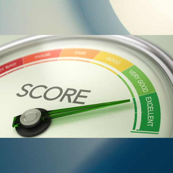 Business Credit Scores