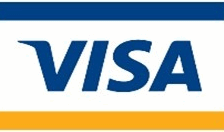 Blue Visa Logo